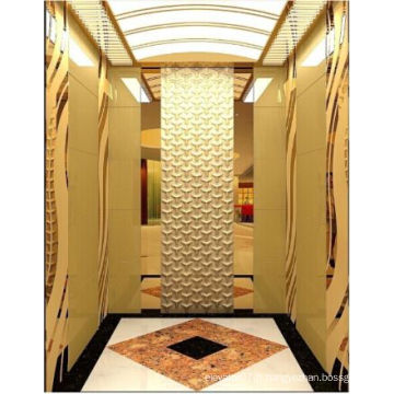 Fjzy-High Quality and Safety Passenger Elevator Fj-1520